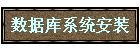ݿϵͳװ
